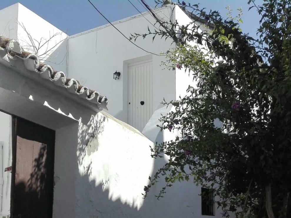 Casa Patio Paraiso Vejer de la Frontera Εξωτερικό φωτογραφία