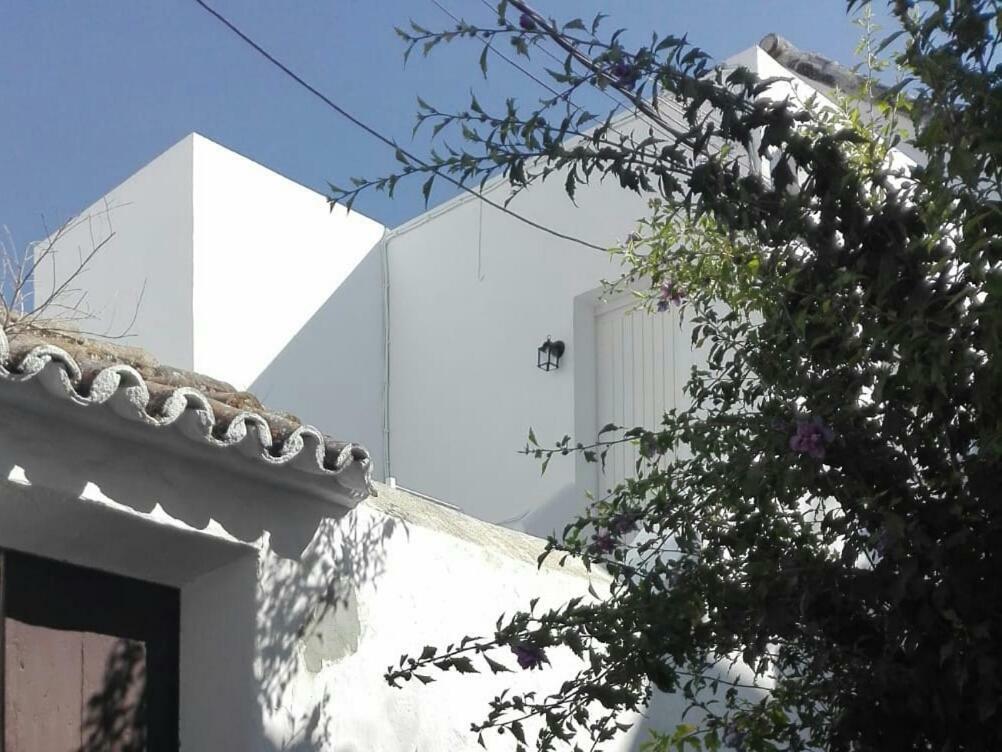 Casa Patio Paraiso Vejer de la Frontera Εξωτερικό φωτογραφία